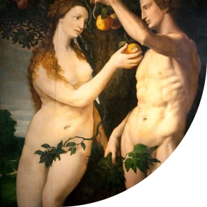Intimchirurgie-image1-1